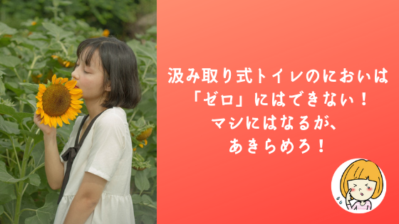 対策法あり 汲み取り式トイレのにおいは ゼロ にはできない マシにはなるが あきらめろ 高知に移住したのーてんき女のブログ
