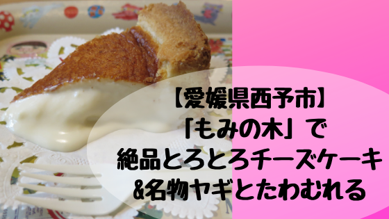 愛媛県西予市 もみの木 で絶品とろとろチーズケーキ 名物ヤギとたわむれる 高知に移住したのーてんき女のブログ 愛媛県西予市 もみの木 で絶品とろとろチーズケーキ 名物ヤギとたわむれる 高知に移住したのーてんき女のブログ