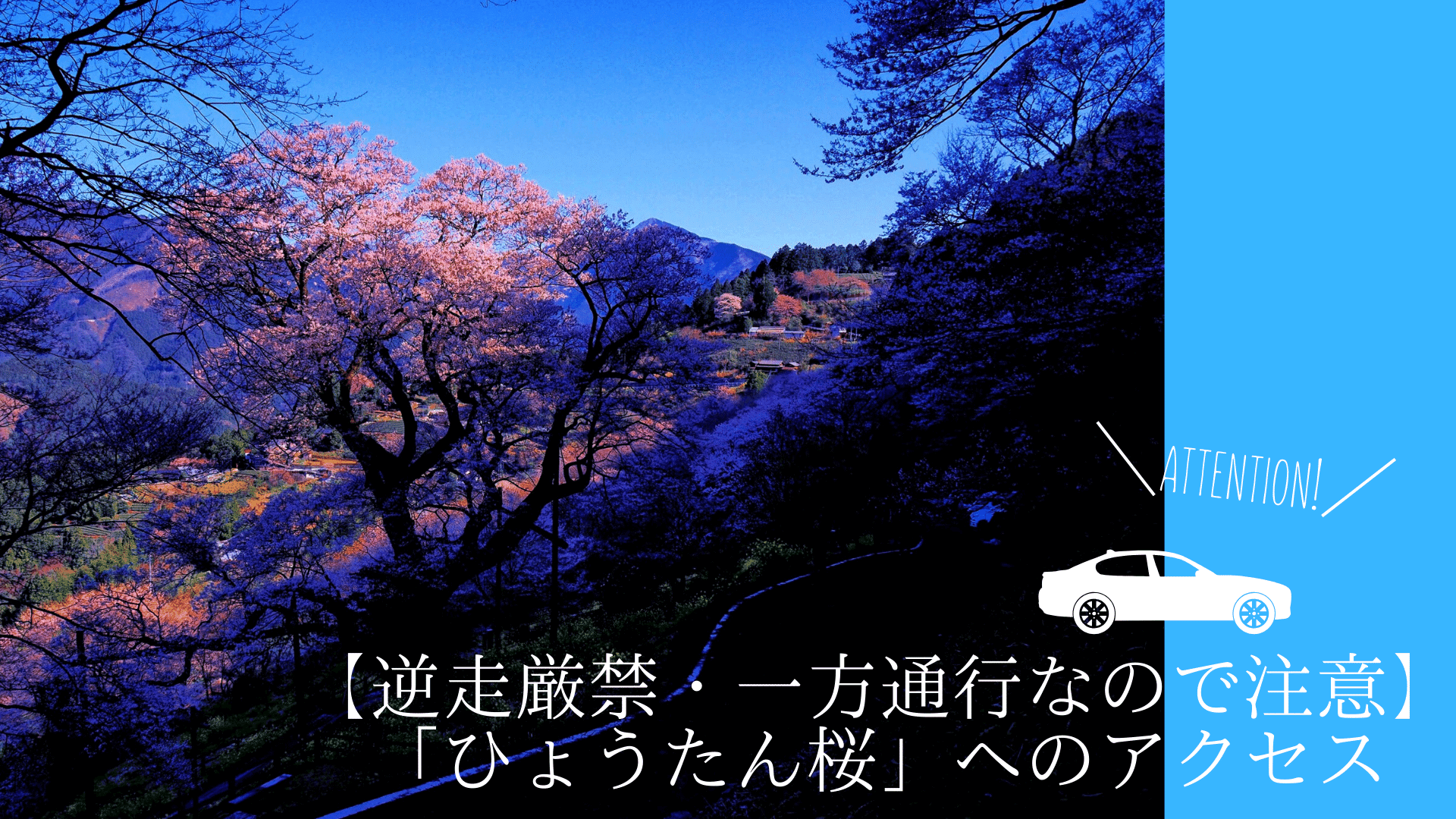 ひょうたん桜 へのアクセス 逆走厳禁 一方通行なので注意 高知に移住したのーてんき女のブログ ひょうたん桜 へのアクセス 逆走厳禁 一方通行なので注意 高知に移住したのーてんき女のブログ