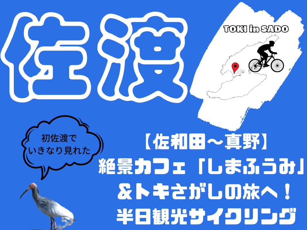 【佐和田〜真野】絶景カフェ「しまふうみ」＆トキさがしの旅へ！半日観光サイクリング