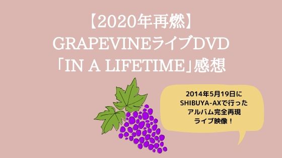 【2020年ストリーミングde再燃】GRAPEVINEライブDVD「IN A LIFETIME」感想