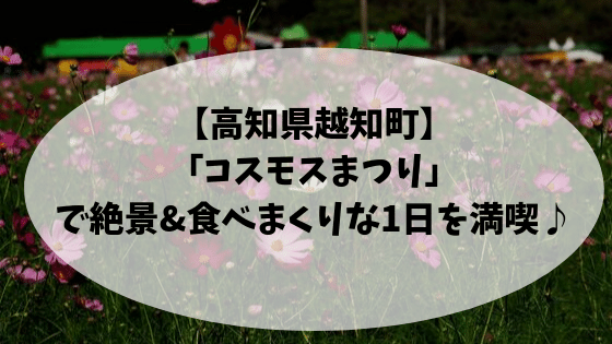 高知県越知町コスモスまつり